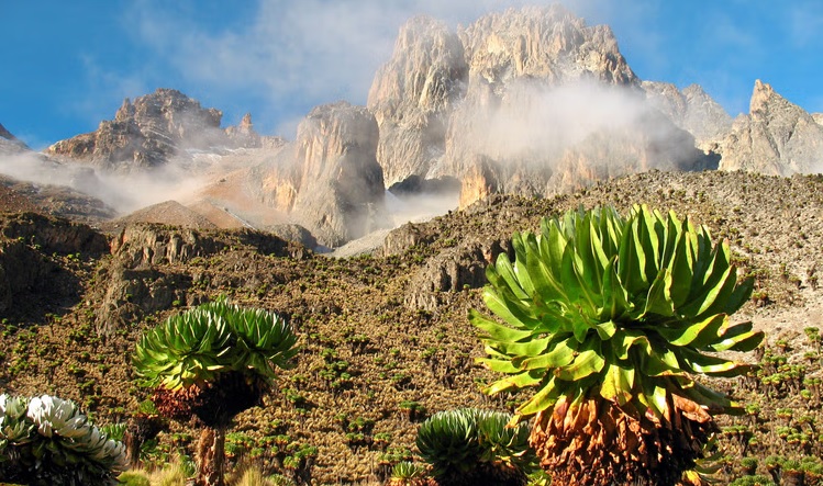 Mt Kenya