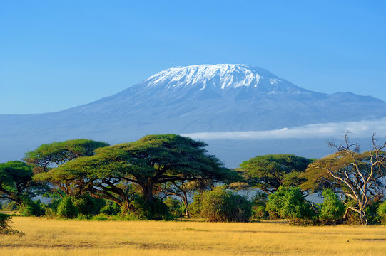 mt kilimanjaro
