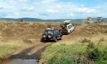 5 Days 4 Nights Arusha | Lake Manyara | Ngorongoro Crater | Serengeti | Arusha Big Five Safari