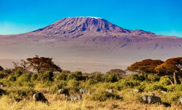 7 Days 6 Nights Safari plus beach Nairobi | Amboseli | Tsavo West | Tsavo East | Mombasa big five Safari